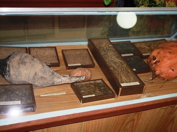 история села (2)